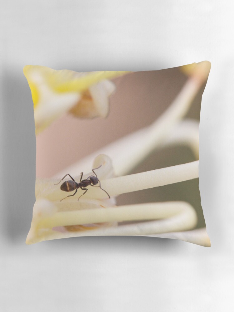 Thumbnail 3 of 4, Pillow, Ants love nectar too designed and sold by mistered.