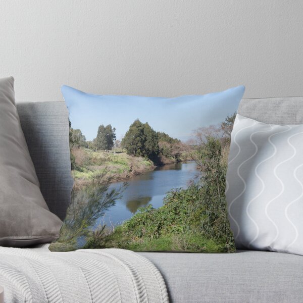 Vista previa del artículo con la obra «Paterson River, Paterson NSW Australia», diseñado y vendido por SNPenfold.