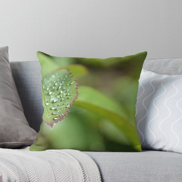 Item preview, Drops on a leaf designed and sold by mayolover.