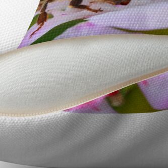 Alternate view of Bee on Geraldton Wax Throw Pillow