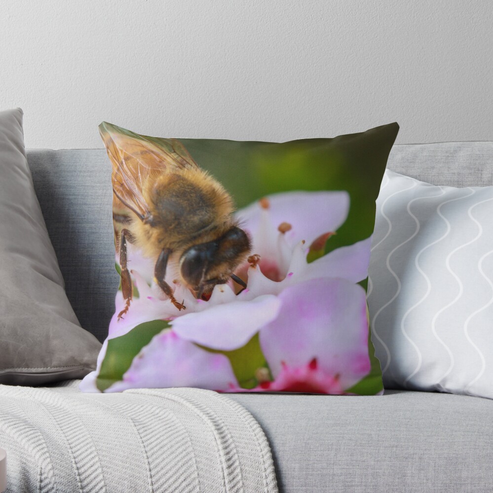 Bee on Geraldton Wax Throw Pillow