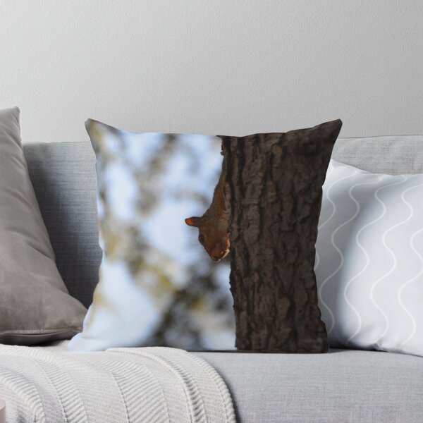 Item preview, Squirrel - Little Guardian designed and sold by PhotoMel.