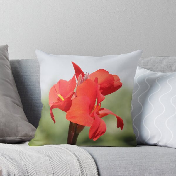 Item preview, Red Canna designed and sold by Bob Hardy.