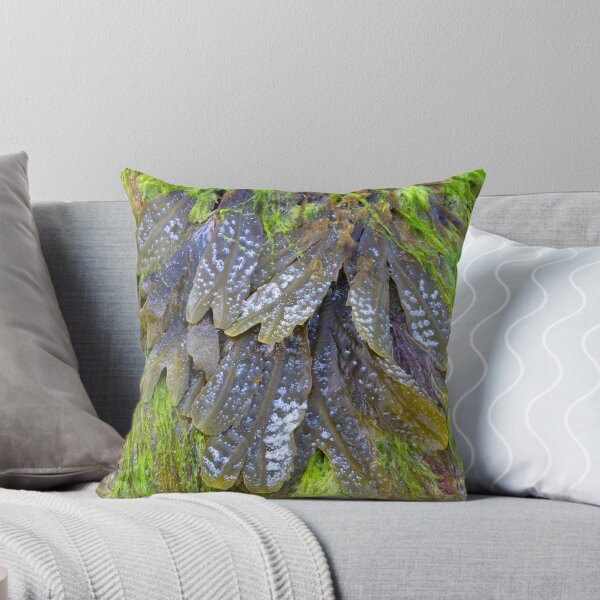 Item preview, SALT AND SEAWEED designed and sold by JASPERIMAGE.