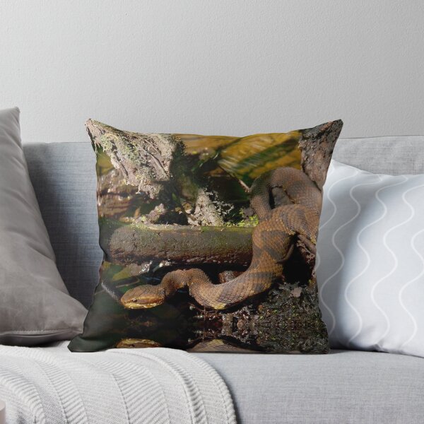 Item preview, Cotton Mouth In The Cypress Swamps designed and sold by Kathy Baccari.