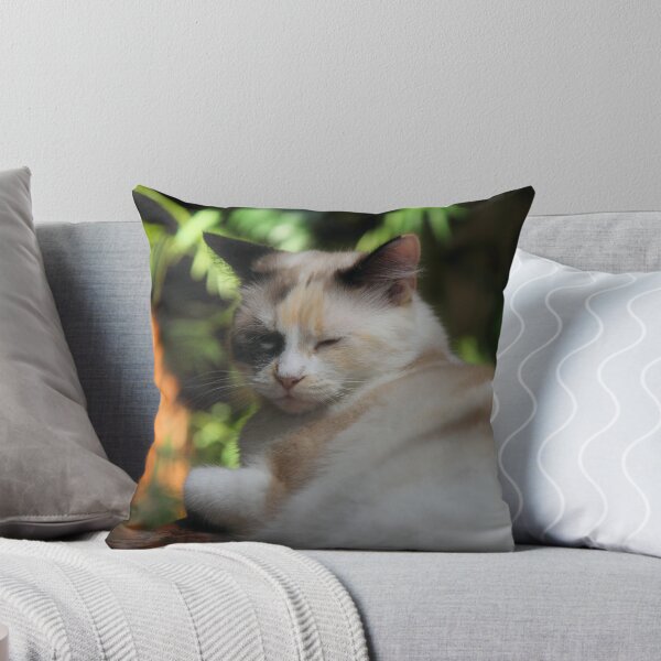 Item preview, Memo The Curious designed and sold by SuddenJim.
