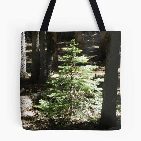 Item preview.