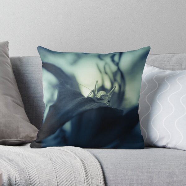 Here's looking at you, Kid (2. version) Throw Pillow