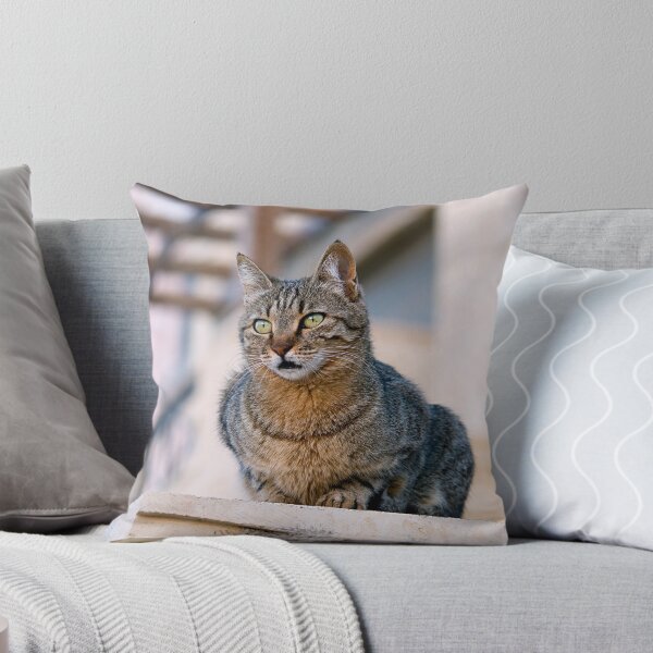 Item preview, Minky of Aqaba designed and sold by Valerija S.  Vlasov.
