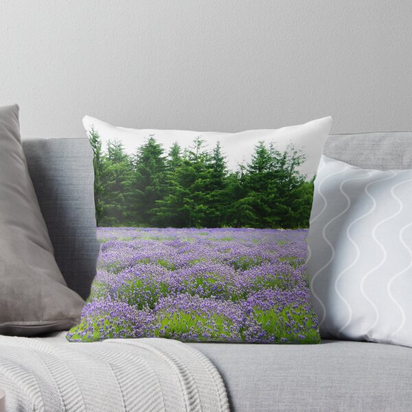 Item preview, Lavender Field 4 designed and sold by Kirsten Ellingford.
