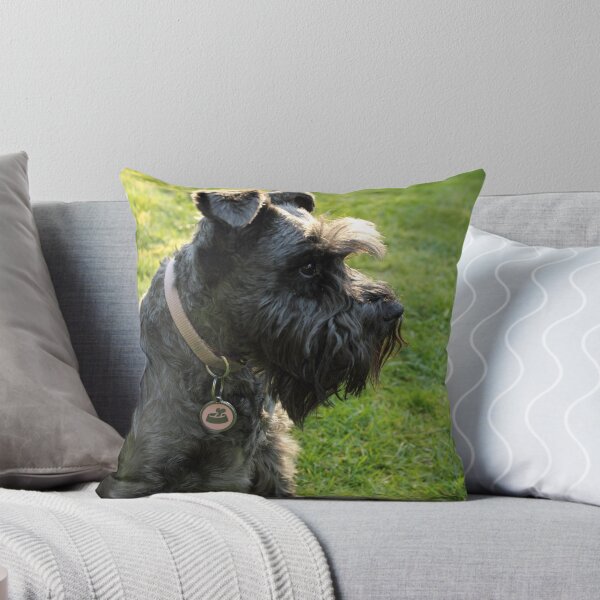 Item preview, Miniature Schnauzer II designed and sold by Tanya Shockman.