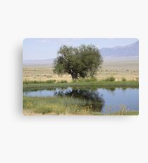 Reflections in an Oasis Canvas Print