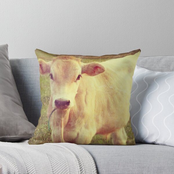 Item preview, White Jersey Cow farm decor art designed and sold by jemvistaprint.