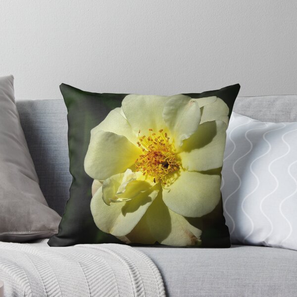 Item preview, "Reaching for the Sun". designed and sold by David Lamplough.
