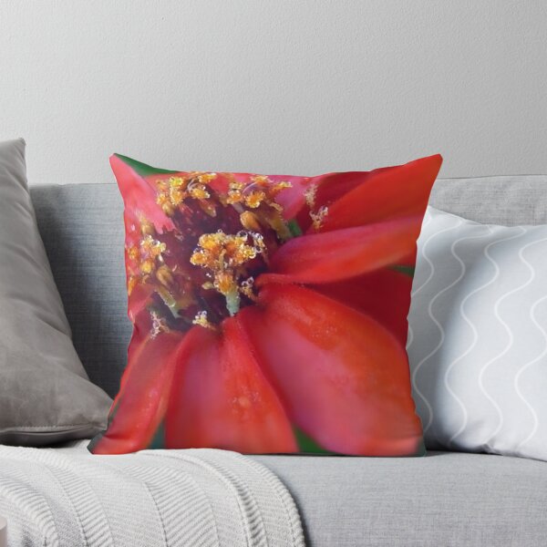 Item preview, Mexicali Rojo designed and sold by paintingsheep.