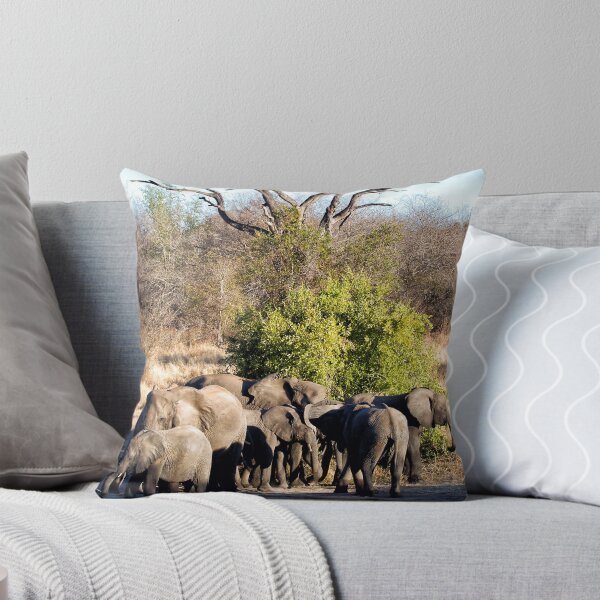 Item preview, The Meeting Place designed and sold by Michael Moss Photography.