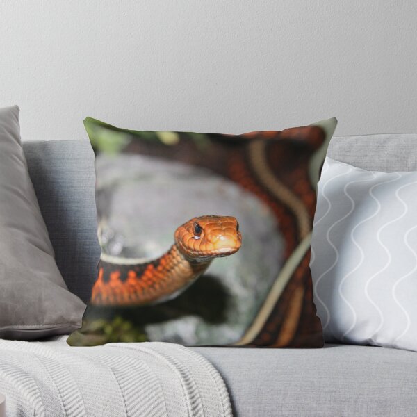Item preview, Oregon Red-spotted Garter snake (Thamnophis sirtalis concinnus) designed and sold by JCPrickett.