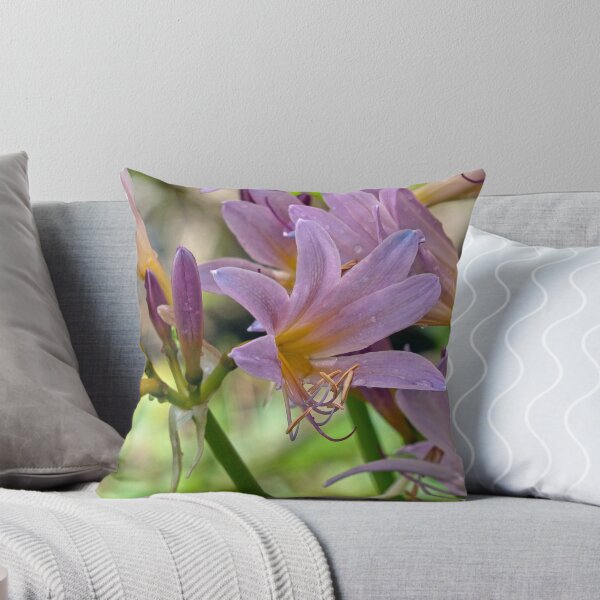 Item preview, Naked Ladies designed and sold by Frankie Cat Photography.