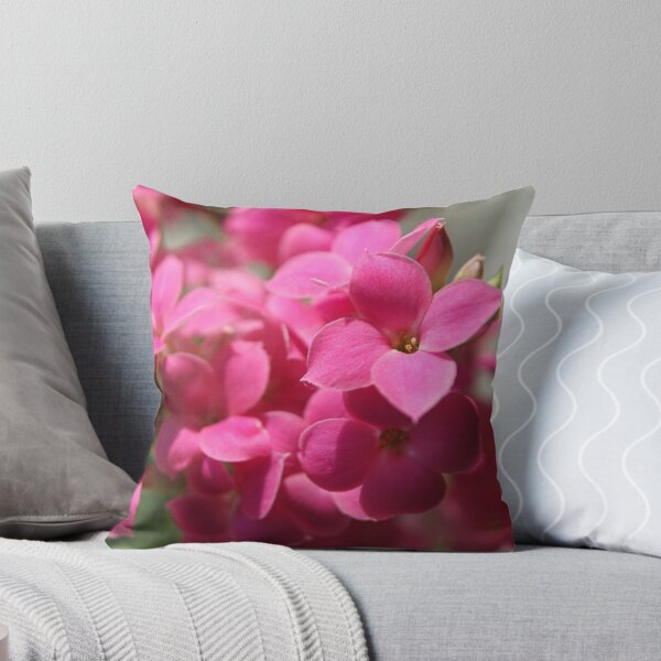 Item preview, Pink kalanchoe  designed and sold by Marina M. Famme.