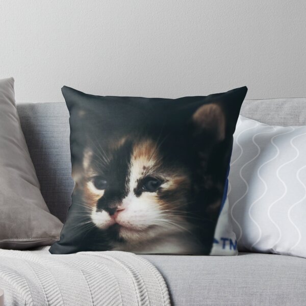 Item preview, Calico kitten with blue eyes designed and sold by vannahgrey.