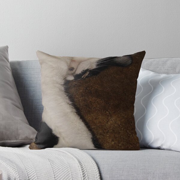 Item preview, Quincy Sleeping designed and sold by WildestArt.