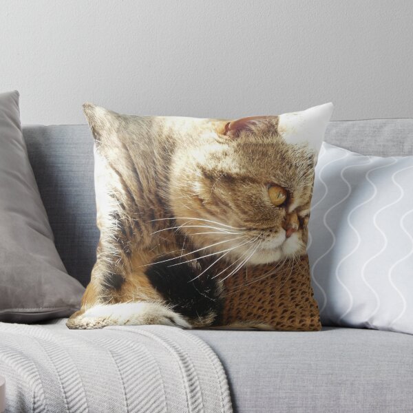 Do not disturb Throw Pillow