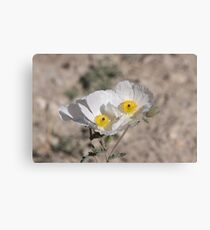 Desert Flowers Canvas Print