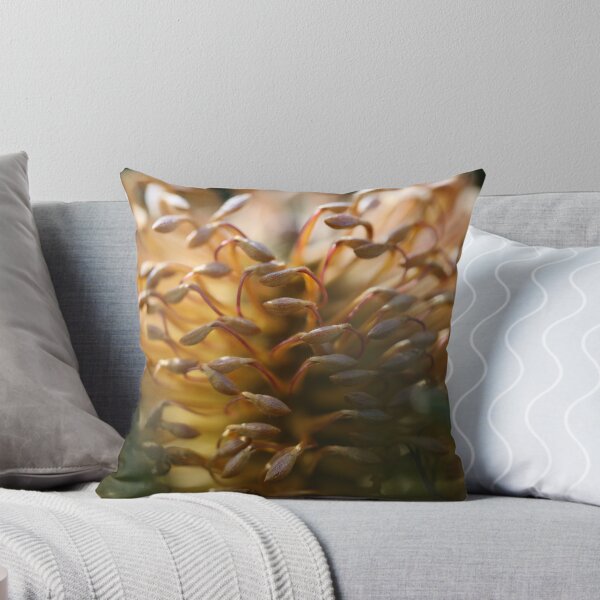 Item preview, Olinda - 7 designed and sold by beeden.