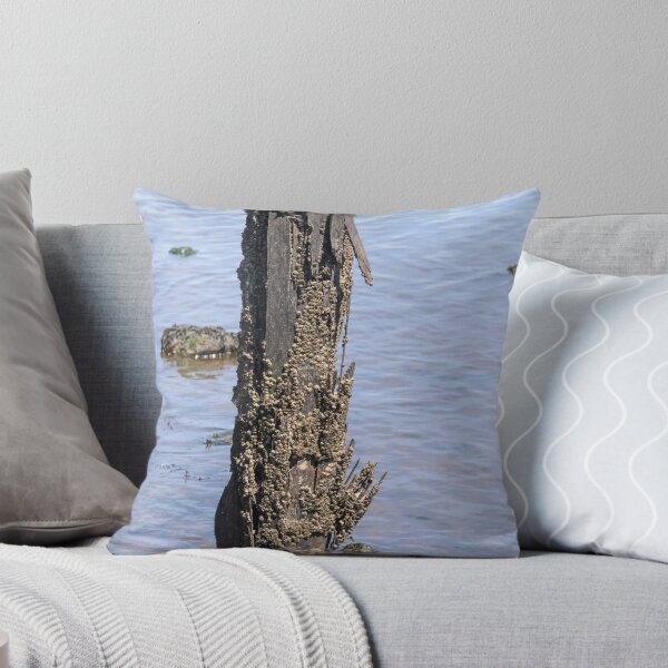 Item preview, Barnacle Encrusted Piling designed and sold by Mark Fendrick.