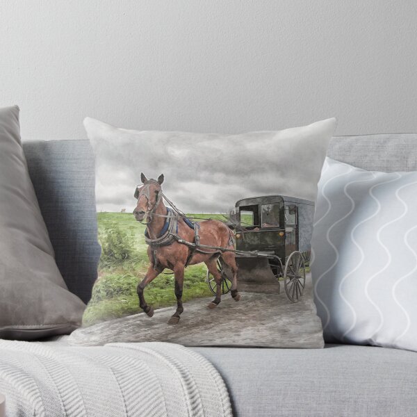 Item preview, Amish Country designed and sold by shuttermom.