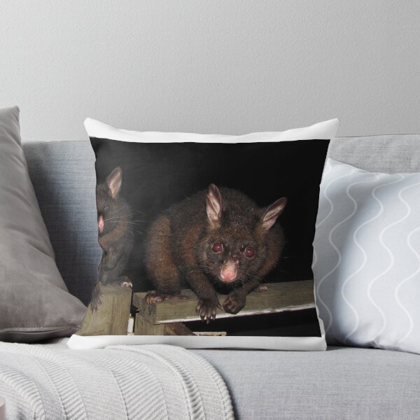 Item preview, Two Possums, Mother and Baby designed and sold by Derwent-01.
