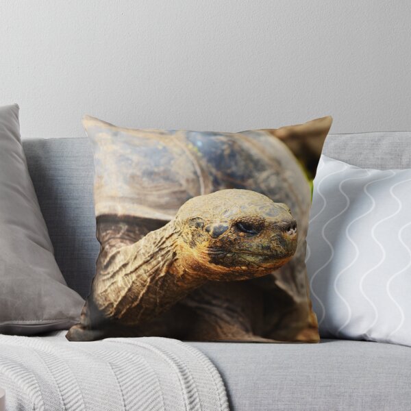 Item preview, Giant Galapagos Tortoise designed and sold by Bruce Alexander.