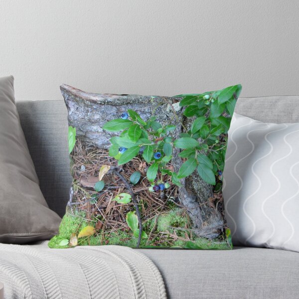 Item preview, Treasures on the Forest Bed designed and sold by Sandra Fortier.