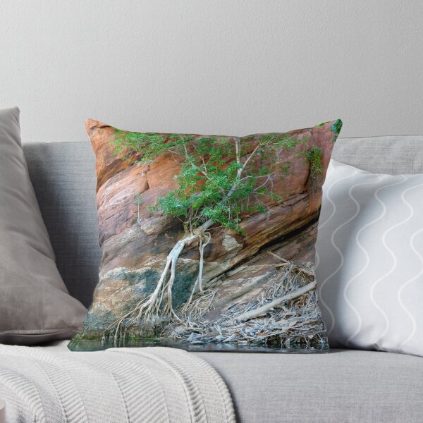 Item preview, Long Root System designed and sold by styles.