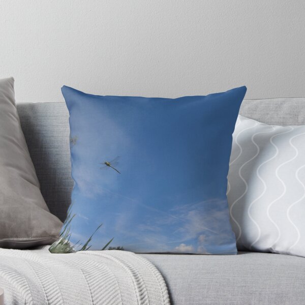 Item preview, In flight designed and sold by brucemlong.