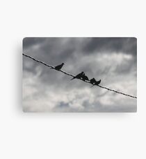 Dove Silhouettes Canvas Print