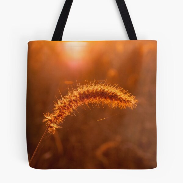Artikelvorschau, Grass Stalk at Sunrise entworfen und verkauft von Leigh Metzroth.