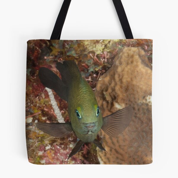 Item preview, Beautiful Damsel Fish designed and sold by KOKOPEDAL.