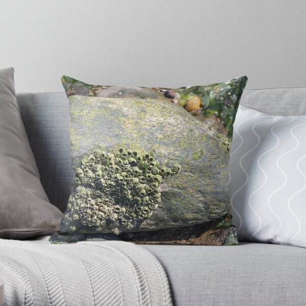 Barnacled Rock Throw Pillow