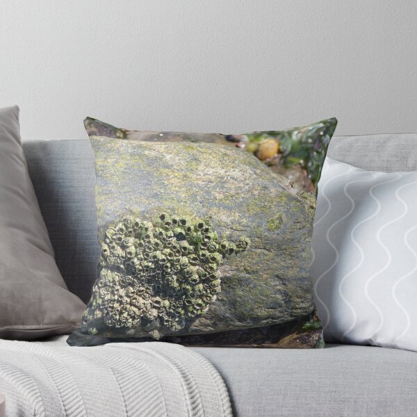 Item preview, Barnacled Rock designed and sold by Mark Fendrick.