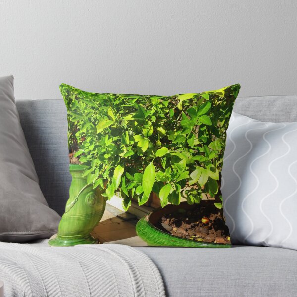 Item preview, The Lemon Trees  designed and sold by Fara.
