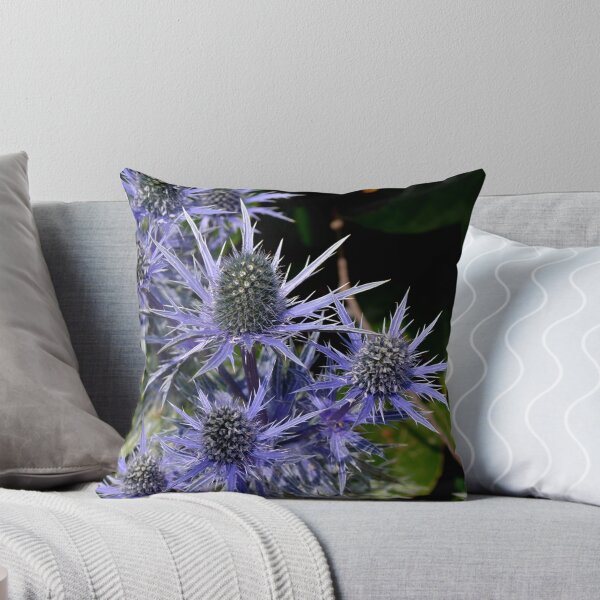Aperçu de l'œuvre Blue Thistle (Eryngium) créée et vendue par ChelseaBlue.