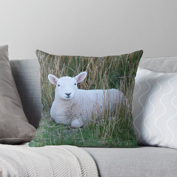Artikelvorschau, Mary Had a Little Lamb entworfen und verkauft von WhirlwindPress.