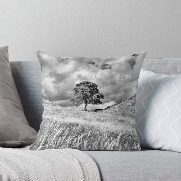 Item preview,  donde un hermoso árbol de sicómoro ha resistido los rigores del clima de Northumberland durante muchos años. A cada lado de la brecha designed and sold by Chris Frost Photography.