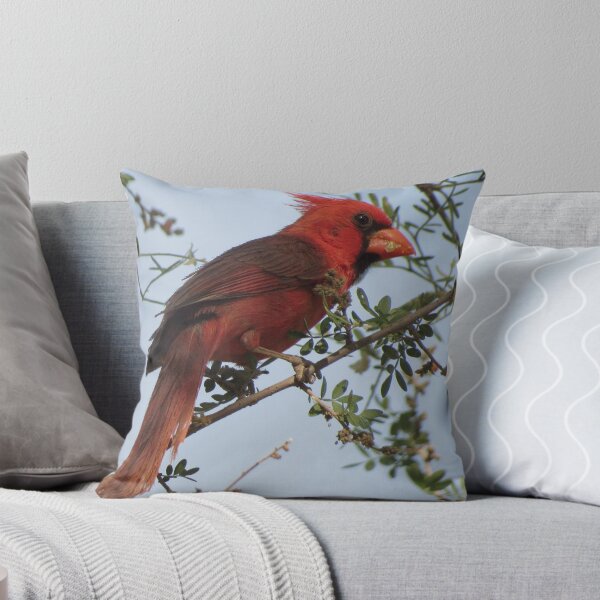 Artikelvorschau, Northern Cardinal~ Male entworfen und verkauft von Luck of the Shutter.