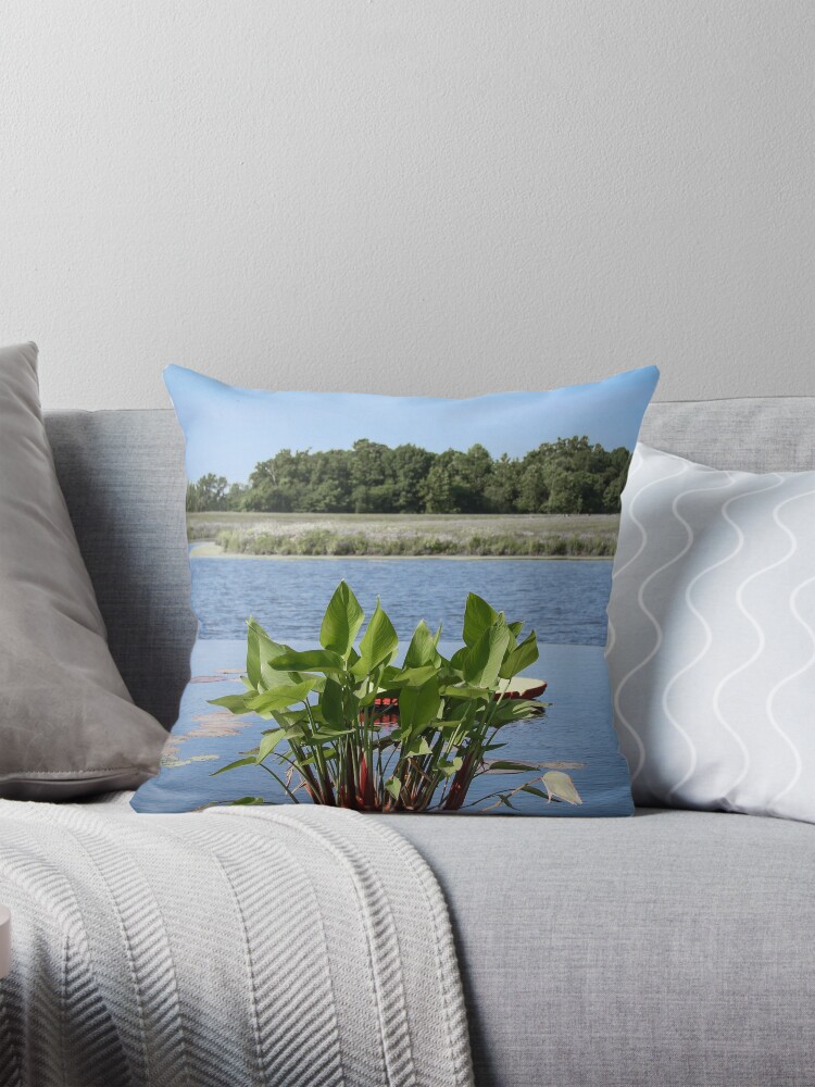 Item preview, Throw Pillow designed and sold by littleoldhag.