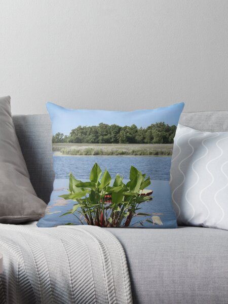 From the Blue Throw Pillow