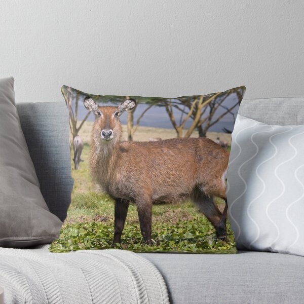 Item preview, Sweet female waterbuck designed and sold by Valerija S.  Vlasov.