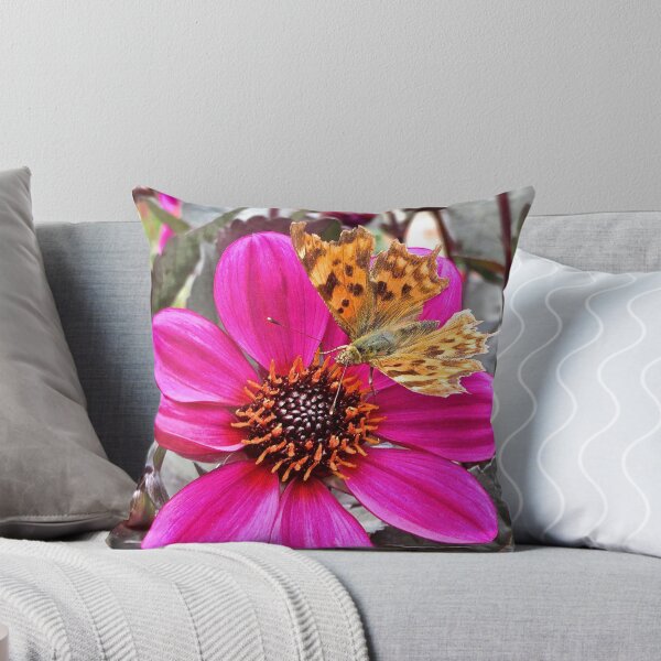 Item preview, Comma Butterfly  designed and sold by John Thurgood.