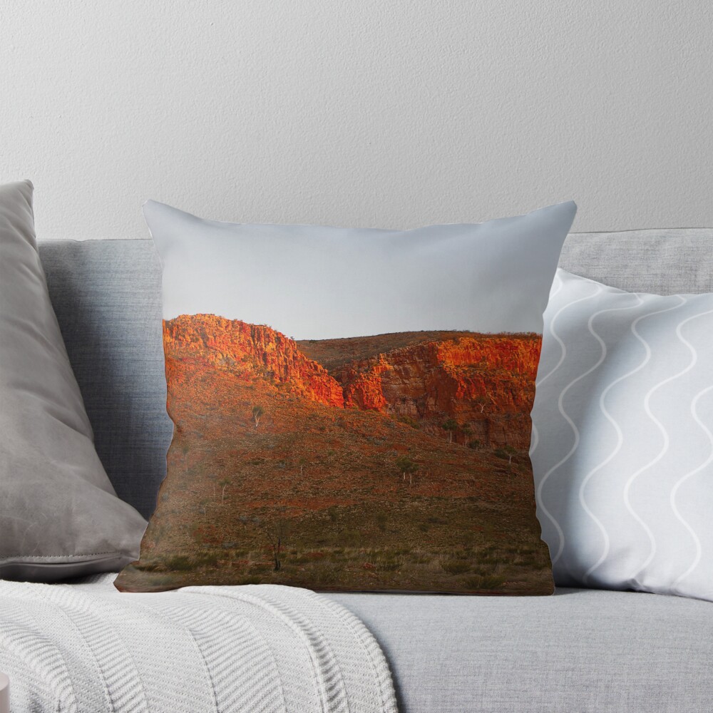 Item preview, Throw Pillow designed and sold by RICHARDW.